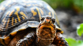 Jak tak dalej pójdzie, to sprawy sądowe staną się wysiłkiem dla kilku pokoleń