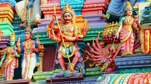 Na swój sposób podziwiam to, że Biedronce chce się sprowadzać ogórki aż z Indii