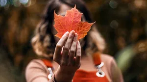 Od dziś skarbówka musi rozstrzygać wątpliwości na korzyść podatnika. Nowe prawo wchodzi w życie