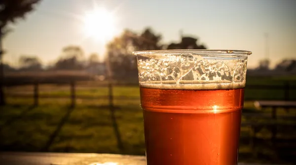 Piękno zieleni czy jednak udręka? Oto cała prawda o mieszkaniach premium z widokiem na park