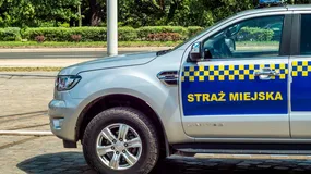 Czy straż miejska może ci dać mandat? Tak, ale jest 5 rzeczy, których NIE może