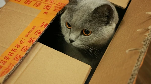 InPost chyba nigdy się nie zatrzyma. Wyniki za IV kwartał 2025 roku są imponujące