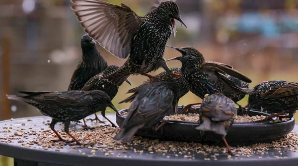 Ustawowa kolejność dziedziczenia to pułapka. Dobrze to widać na tym przykładzie