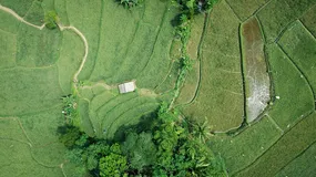 Kupili firmę za 63 miliardy dolarów i od razu tego pożałowali. Teraz płacą kolejne miliardy za raka u klientów