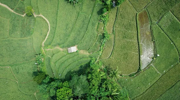 Kupili firmę za 63 miliardy dolarów i od razu tego pożałowali. Teraz płacą kolejne miliardy za raka u klientów