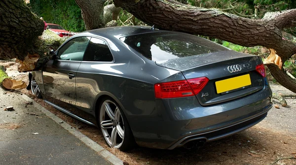 Brak pobłażania kierowcom działa. Tak niskiej śmiertelności na polskich drogach jeszcze nie było