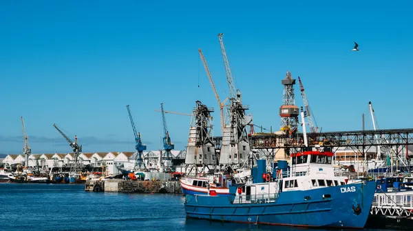 Port Hallera: 12 metrów głębokości, 300 hektarów ziemi i szansa, by odebrać Niemcom bałtycki handel