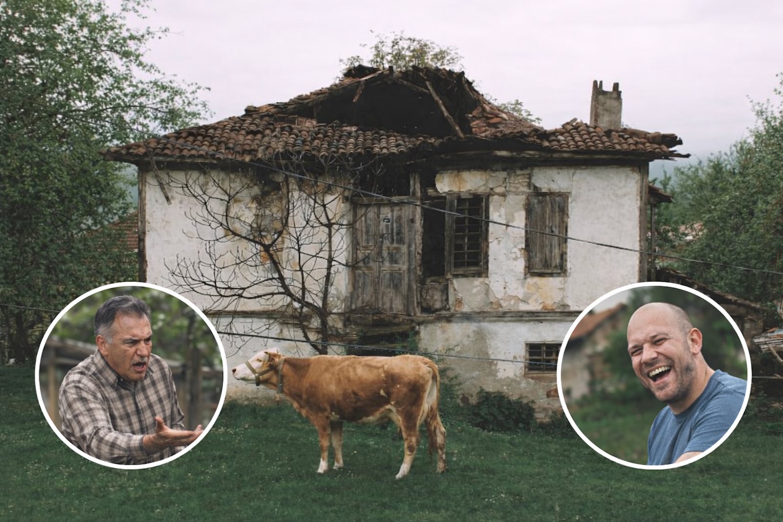 Sąsiad wejdzie ci na działkę, a ty nie możesz powiedzieć „nie”. Nowe ...