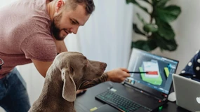 Wpuszczanie psów do firmy bez przygotowania to proszenie się o kłopoty prawne