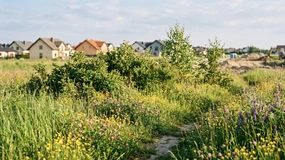 Kupiłeś działkę, a tam chroniony chrząszcz. W ten sposób możesz stracić dorobek życia