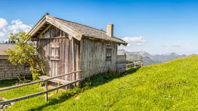 Zróbcie sobie 15 dzieci, to kupicie działkę za 800 plus. Skandaliczny post pośrednika obiegł sieć