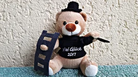 Tyle teraz kosztuje wizyta kominiarza. Kwoty mogą zaskoczyć właścicieli domów