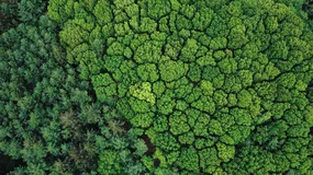 Od 27 września słowo „eko" na opakowaniu może kosztować firmę 10 proc. obrotu