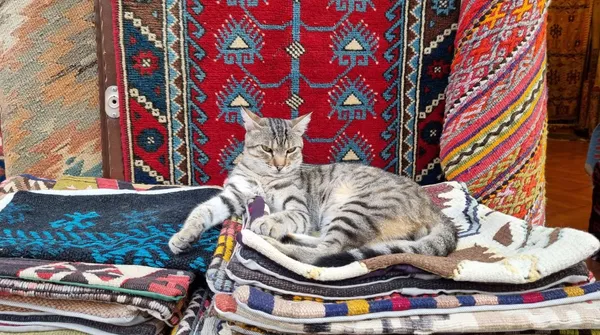 Stary kilim z PRL-u jest warty na Allegro 2500 zł. Na Vinted można go kupić już za 75 zł